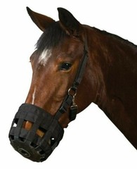 Barn and Stable adjustable Black Nylon/Rubber Horse Pony Yearling Grazing Muzzle