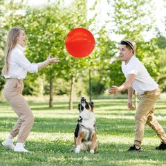 6Inch Inflatable Bouncy Balls 6Pack with Hand Air Pump, Red Color