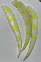 4″ New, FREE SHIPPING! Real Turkey Feather Fletching Arrows and Darts 25 Pack