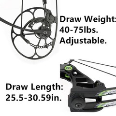 Compound Bow Arrow 40-75lbs CNC Archery 350FPS Shooting Hunting L/RH Pulley Bow