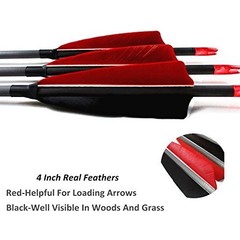 Carbon Arrows 30-In 400 Spine 4-In Feather Fletching 100 Grain Points 12 Pack