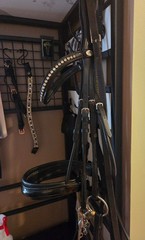 Dressage bridle