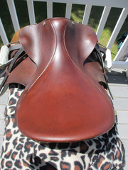18» MEDIUM CROSBY A/P ENGLISH SADDLE w NEW LEATHERS &BREAKAWAY IRONS,