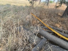 52 lbs NEW 28″ Draw NEW Osage Orange Long Bow LongBow