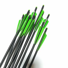 Hunting 20″ Carbon Arrows Crossbow Bolts OD 8.8MM 125 Grain Removable Tips Point