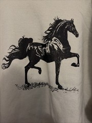 Hanes Comfort Blend Sweatshirt Arabian Horse Screen printed 2XL Light Green NWOT