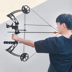 Compound Bow Arrow Kit 0-70lbs Archery Bow Hunting Target Shooting Target RH LH