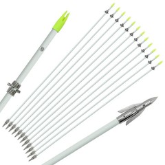36″ Bowfishing Arrows 6/12 PCS – Fiberglass Fishing Arrows with Broadhead for Ar