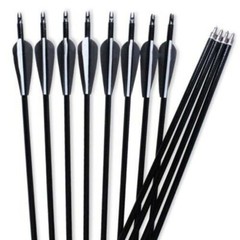 12Pcs 30″ Fiberglass Archery Arrows Spine 500 with Removable Tips Hunting Target
