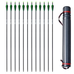 6/12pcs Fiberglass Arrows Hunting Archery Target Arrows Recurve Bow Longbow Hunt