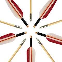 Luoyer 12 Pcs Wooden Archery Arrows Feathers Targeting Longbow Recurve Bow 31″