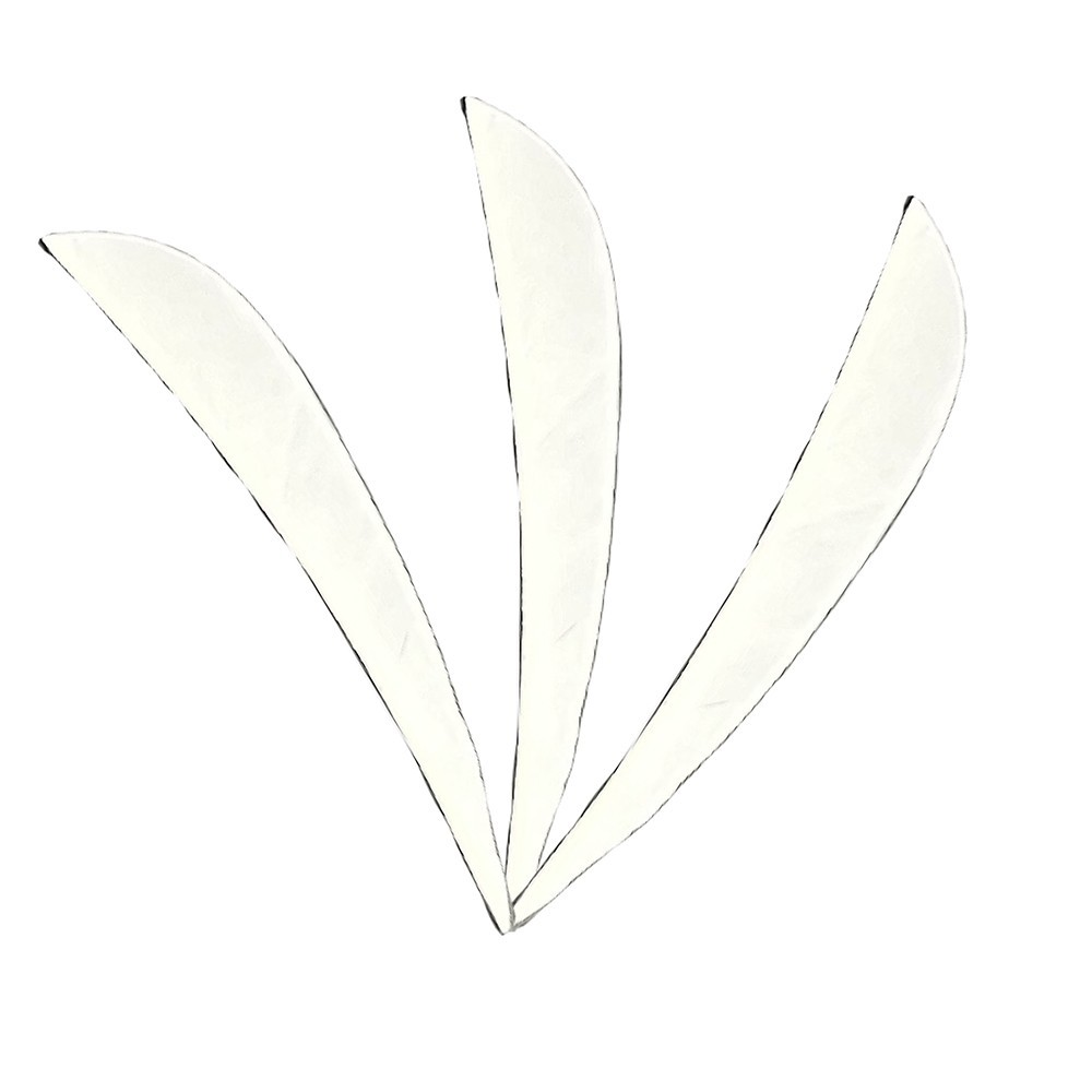 50pcs 4″ Arrow Turkey Feather RW Natural Waterdrop Vanes DIY Shaft Fletches
