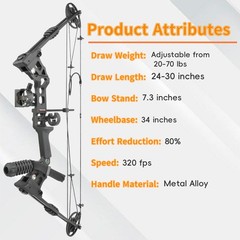 Archery Compound Bow Arrow Set 20-70LBS LH/RH 320FPS Let-Off 80% Target Practice