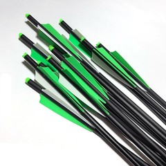 Hunting 20″ Carbon Arrows Crossbow Bolts OD 8.8MM 125 Grain Removable Tips Point