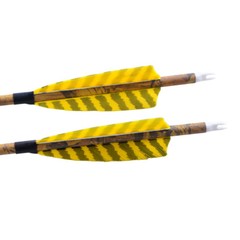 6/12pcs 30» Carbon Arrows Archery SP500 Turkey Feathers Bow Target Hunting