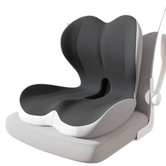 Seat Cushion for Office Chair, Car and Wheelchair Use, with Lumbar Support Pi…
