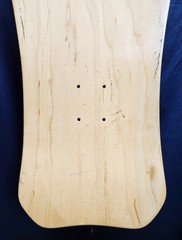(2011) ~ Pro-Tec Pool Party / LTD Signed & Numbered / Hammerhead Skateboard Deck