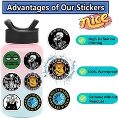100 Pcs Waterproof Sarcastic Meme Stickers for Adults – Fun Decals Pack