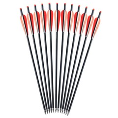 12Pcs 20» Archery Carbon Crossbow Bolt Arrows+12Pcs 100Grain Broadheads Hunting