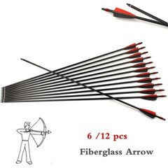 12pcs 30″ Fiberglass Hunting Practice Arrows With Removable Tip for Compound Bow