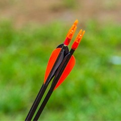 Arrow Vanes Arrow Fletching 4″ Shield Shape Turkey Feathers for Hunting DIY S…