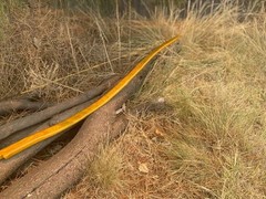 41 lbs 28″ Draw NEW Bend Through Handle Character Osage Orange Long Bow LongBow