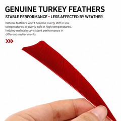 3″ 4″ 5″ Archery Arrow Natural Turkey Feathers Shield Cut Fletching Fletches DIY