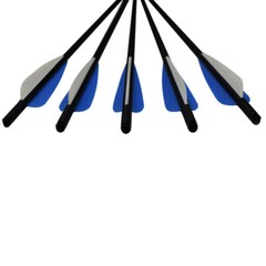 16-22″inch Hunting Crossbow Bolts Mixed Carbon Arrows for Targeting Outdoor 12X