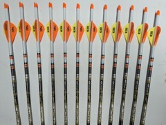 @NEW@ 12- Victory Archery HLR .204 V1 Elite 300 Carbon Dip/Crested Arrows