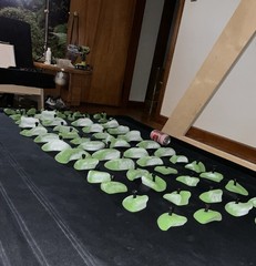 So Ill Climbing Hold Spray Wall Set Bright Green 60 Pieces Fungus, Smooth, Pipes