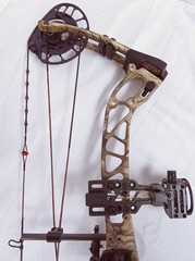 PSE Brute NXT Compound Bow / USA SHIPPING ONLY