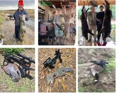125lbs MINI STRIKER PISTOL CROSSBOW WITH 5 RED DOT SIGHT