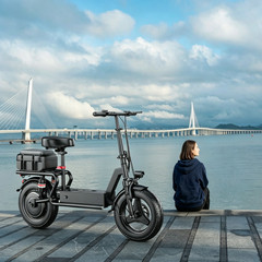 New Electric Scooter with Seat, Commuter Foldable, 1200W 13Ah Battery 25mph US