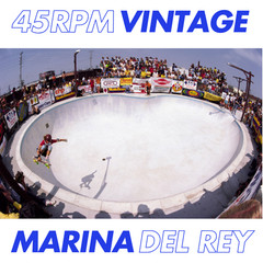 MARINA DEL REY SKATEPARK mesh hat (Dogtown skateboard Powell Peralta skate deck