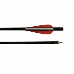 12X Fiberglass Crossbow Bolts Hunting Arrows For Shooting Practice Flat Nocks US