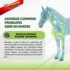Nutramount Horse Weight Gain Supplement – Omega-3 Flaxseed Formula, Box