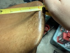 16.5in Bates Caprilli English Saddle W/ Exchangeable Gullet System