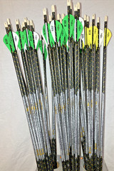 Easton Axis 5mm 400 Spine Limited Addition 1 dozen