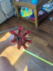 32-In Aluminum Arrows With Practice Tips Feathers And Nocks