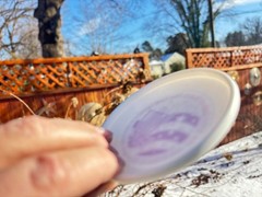 1994 United States Open New Wham-O MINI Disc Golf #44 (Free Frisbee Pin)