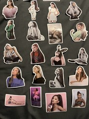 10 PCs Random ~2×2” Ariana grande stickers (unofficial) Vinyl Glossy Finish