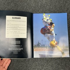 Vintage Skateboards Poster Book 1988 Skateboard 15 Mini Posters