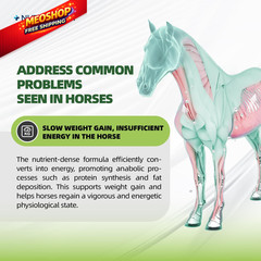 Nutramount Horse Weight Gain Supplement – Omega-3 Flaxseed Formula, Box