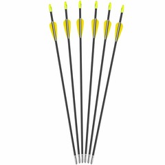 12Pcs 28″ Fiberglass Arrows for Shooting Hunting Target Practice Youth Archery