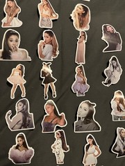 10 PCs Random ~2×2” Ariana grande stickers (unofficial) Vinyl Glossy Finish