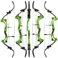 Compound Bow Arrow Kit 40-55lbs Archery Fiberglass Limbs Hunting Shooting Target