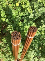 50pcs Archery Shafts 33in 40-45/45-50/50-55/55-60lbs Bamboo Arrows Hunting Shoot