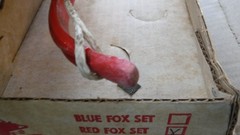 Bear Archery Red Fox Set vintage youth bow 50″ in original box + arrows