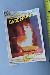 Sour Solution Skateboards Barcelona Spain Fire Punk Z75A Skateboarding STICKER