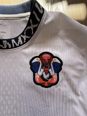(RARE) L Nike SB USA Skateboarding LS ADV Jersey KIT FD6332-100 Mens Tee Shirt